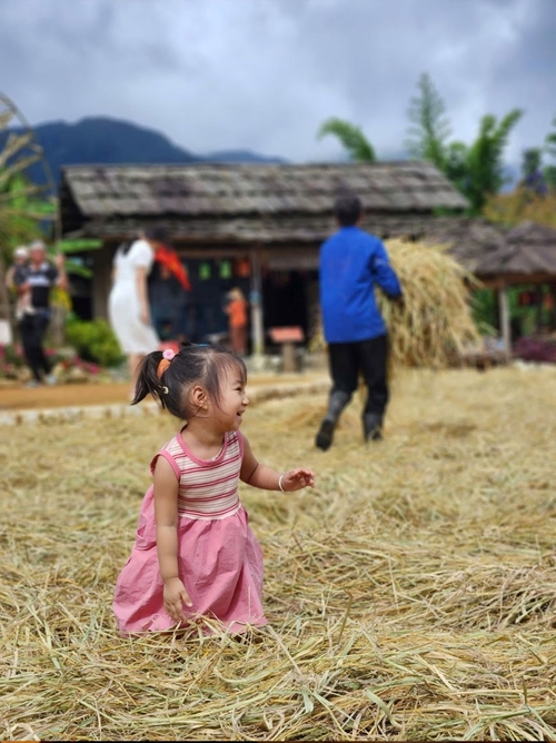 View - 	Golden Season Festival in Fansipan